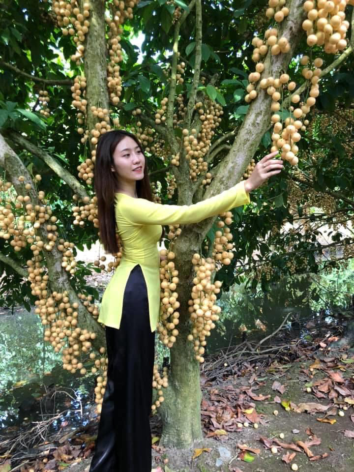vuon dau thien an nga bay hau giang 7